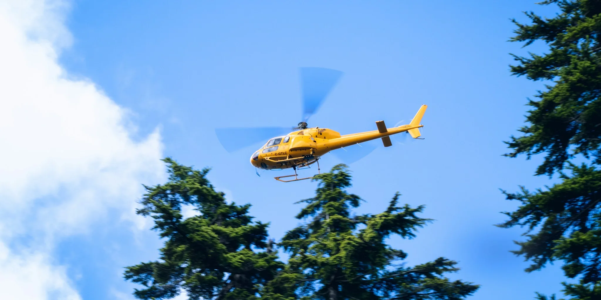 The Best RC Helicopters for Every Skill Level and Budget