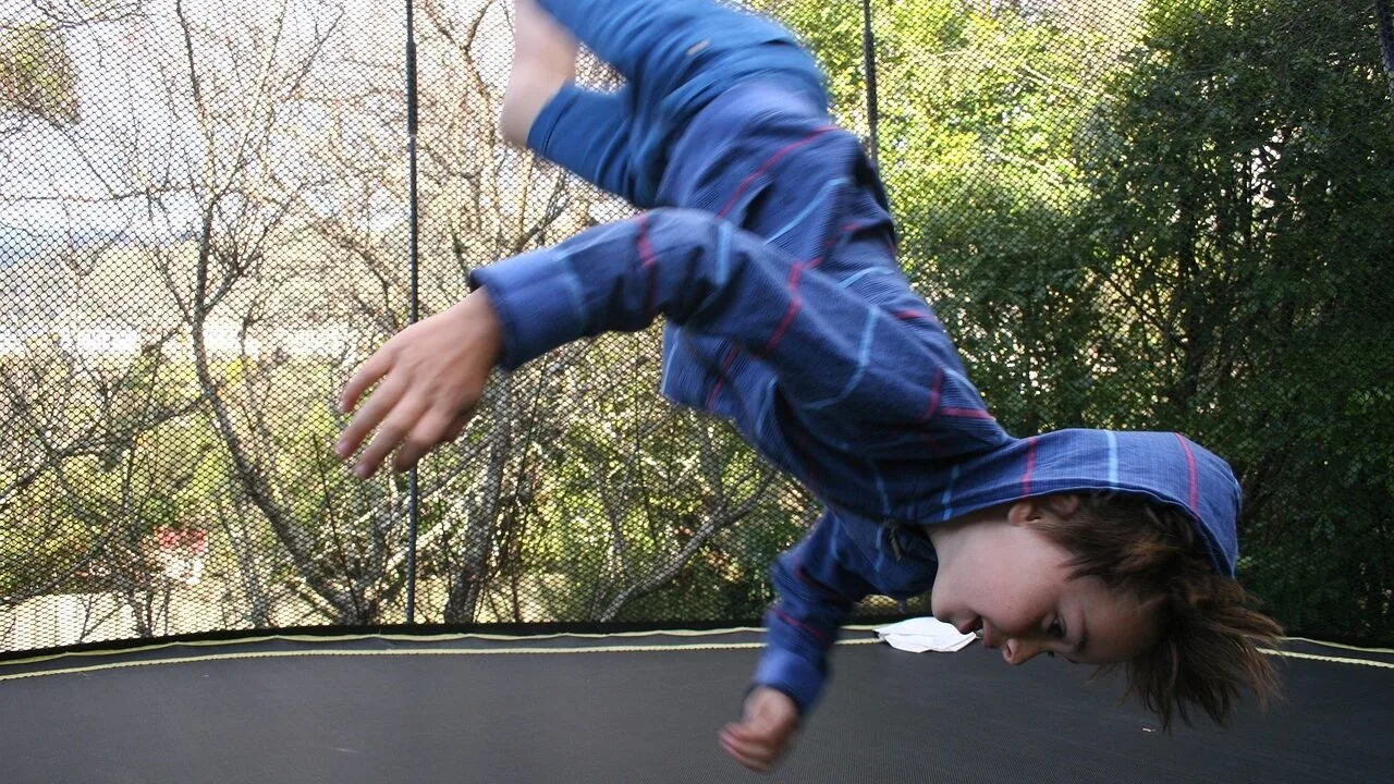 Best Rebounders for Every Home Workout and Budget