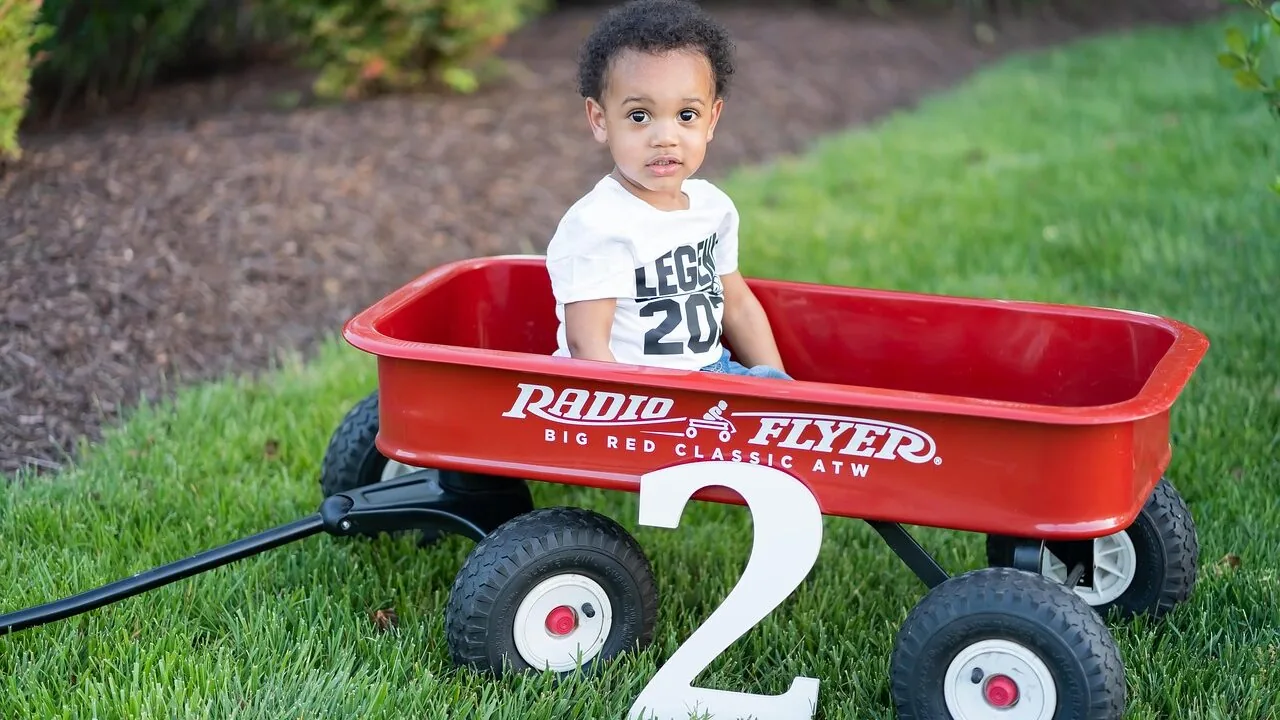 Red and blue kids wagon filled with toys on a sunny grass lawn