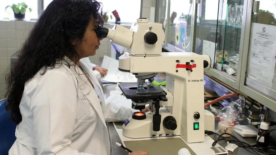 Researcher analyzing microscope data on computer display in laboratory setting