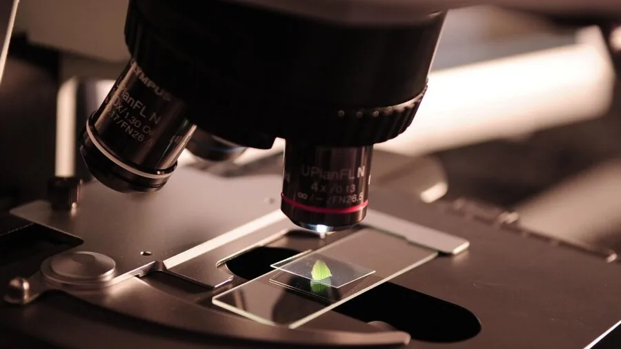 Researcher examining scientific instrument readings and performance metrics in laboratory setting