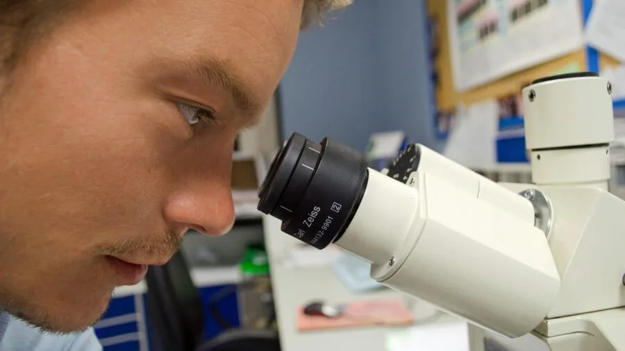 Researcher using microscope for scientific observation and analysis in laboratory setting
