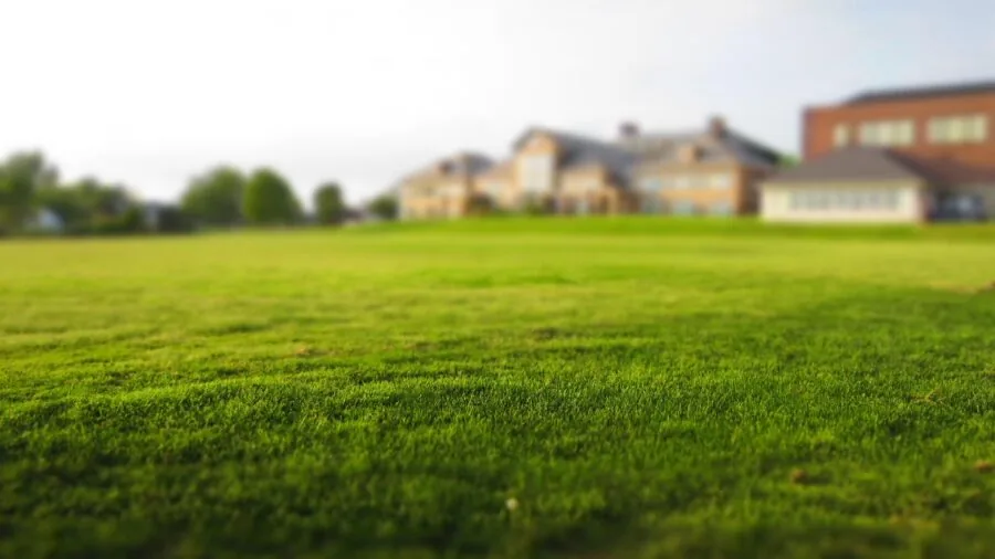 Residential backyard with sloped terrain and grass landscaping on hillside