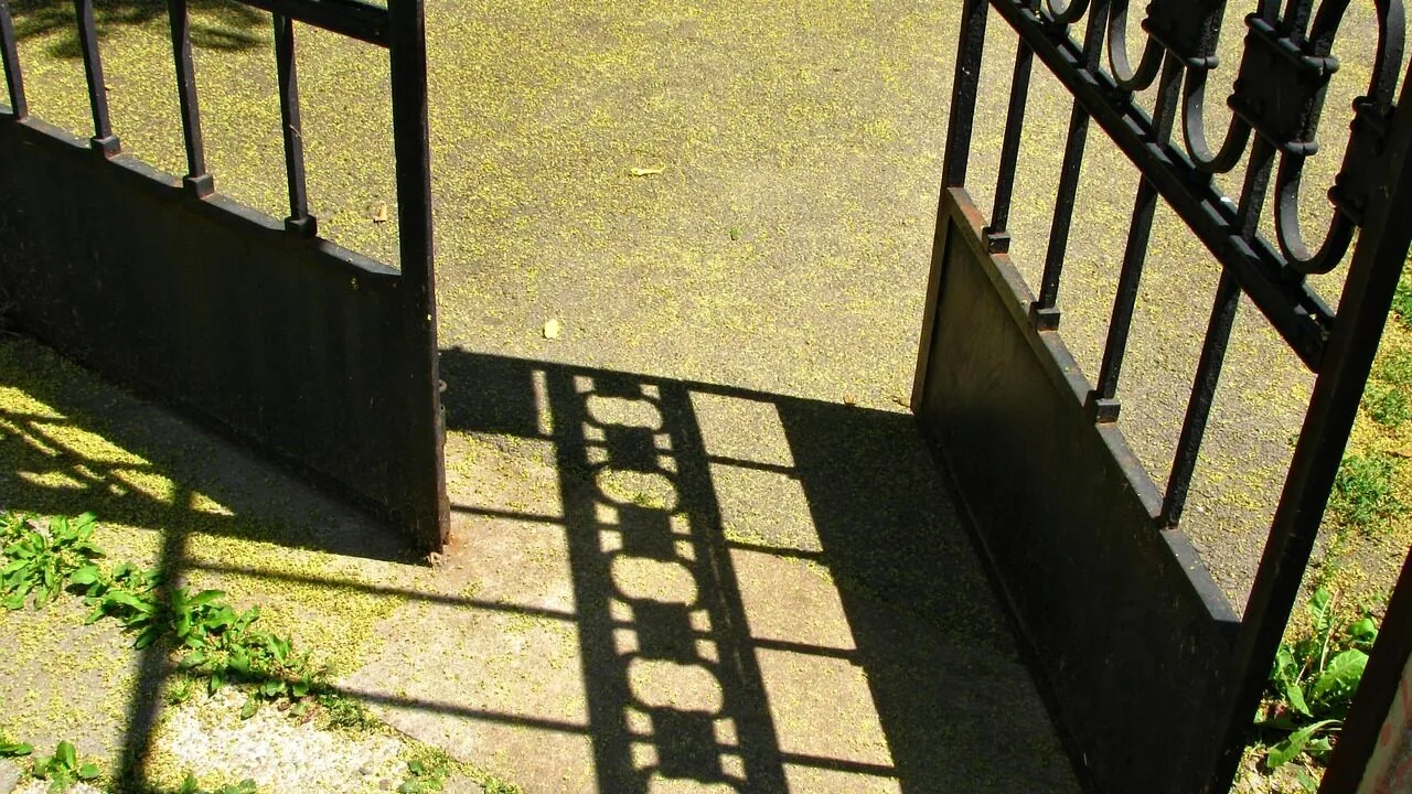 The Best Retractable Baby Gates for Every Home and Opening