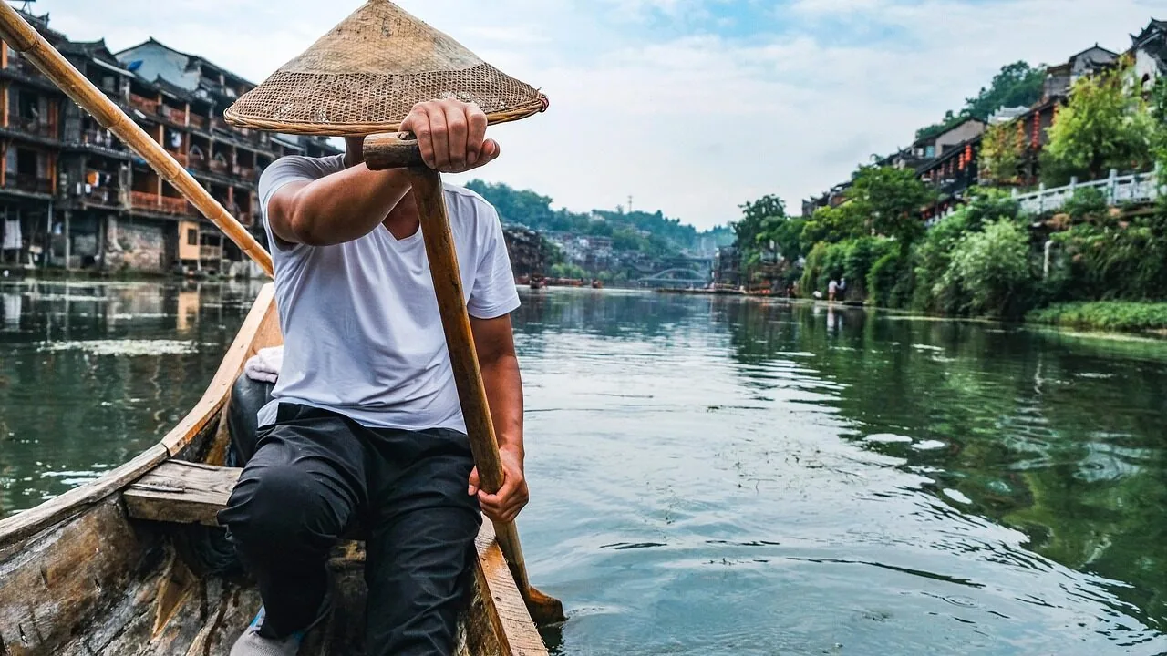 Rowing Machines Worth Buying for Every Home and Budget