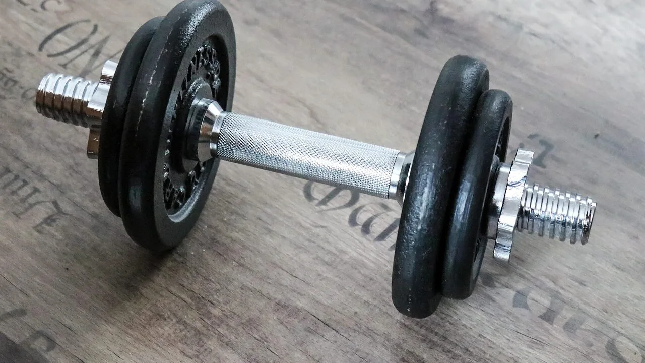 Set of adjustable dumbbells with weight plates on gym floor