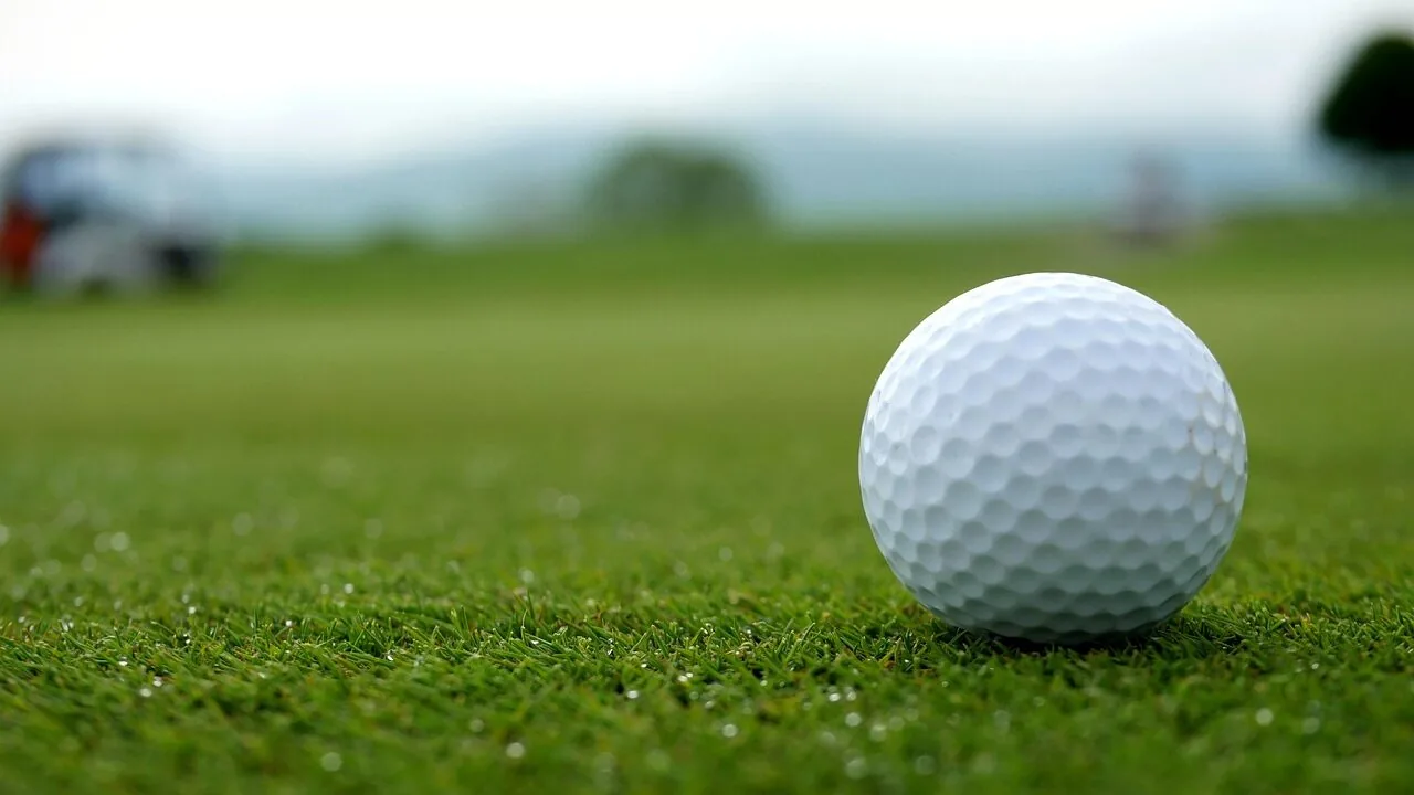 Set of golf clubs displayed on grass fairway with natural daylight