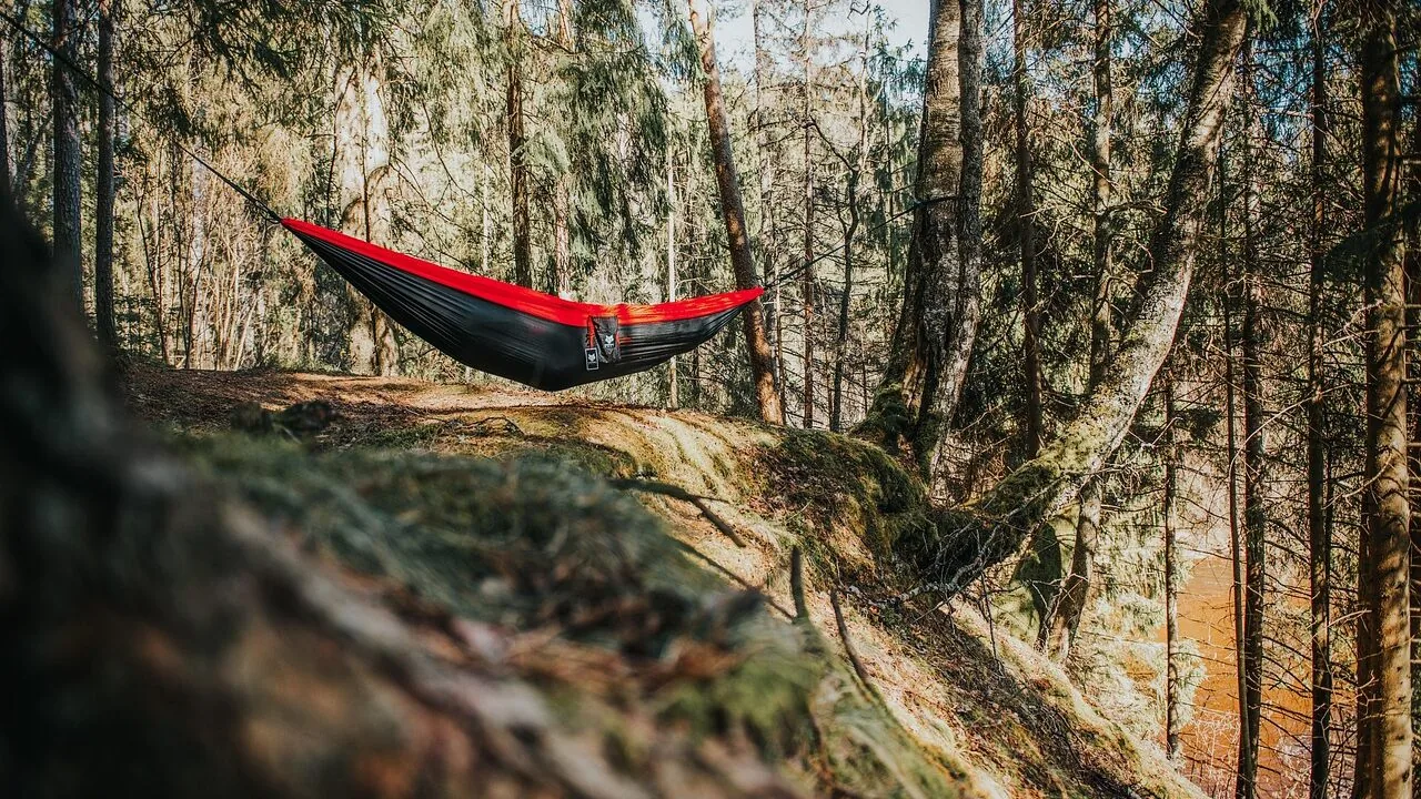 Sleeping Bags Worth Buying for Every Camping Style