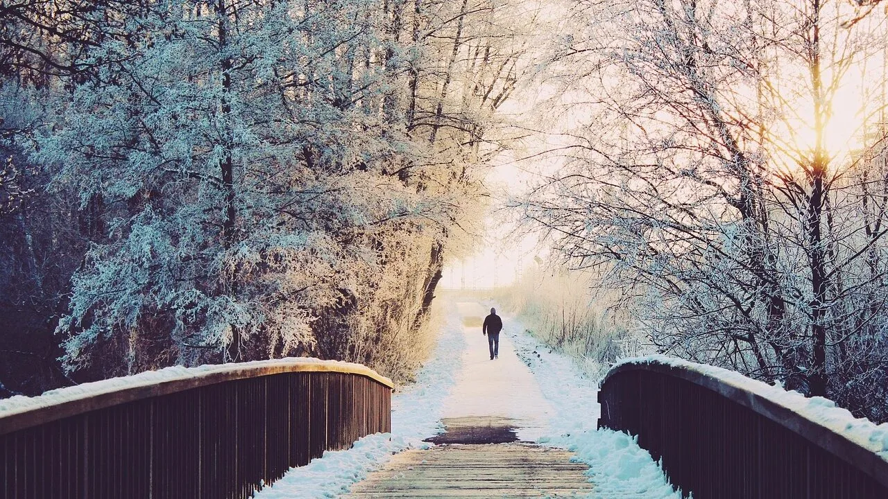 Snow Shovels Worth Buying for Every Driveway