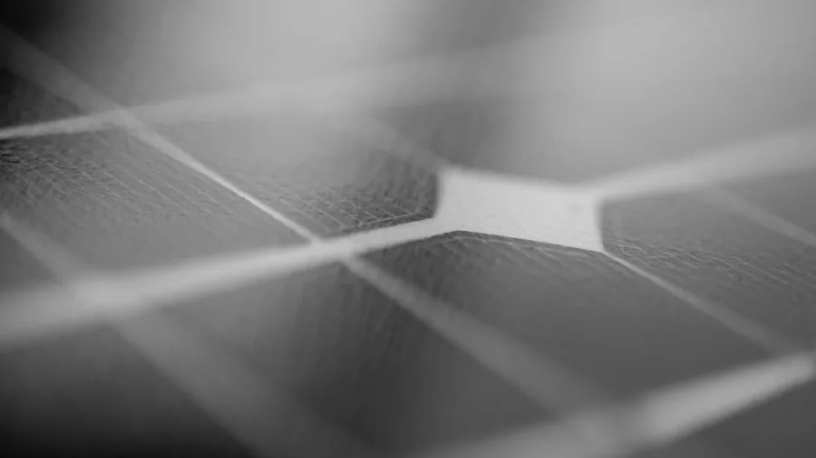Solar panels capturing sunlight in outdoor residential setting during daytime