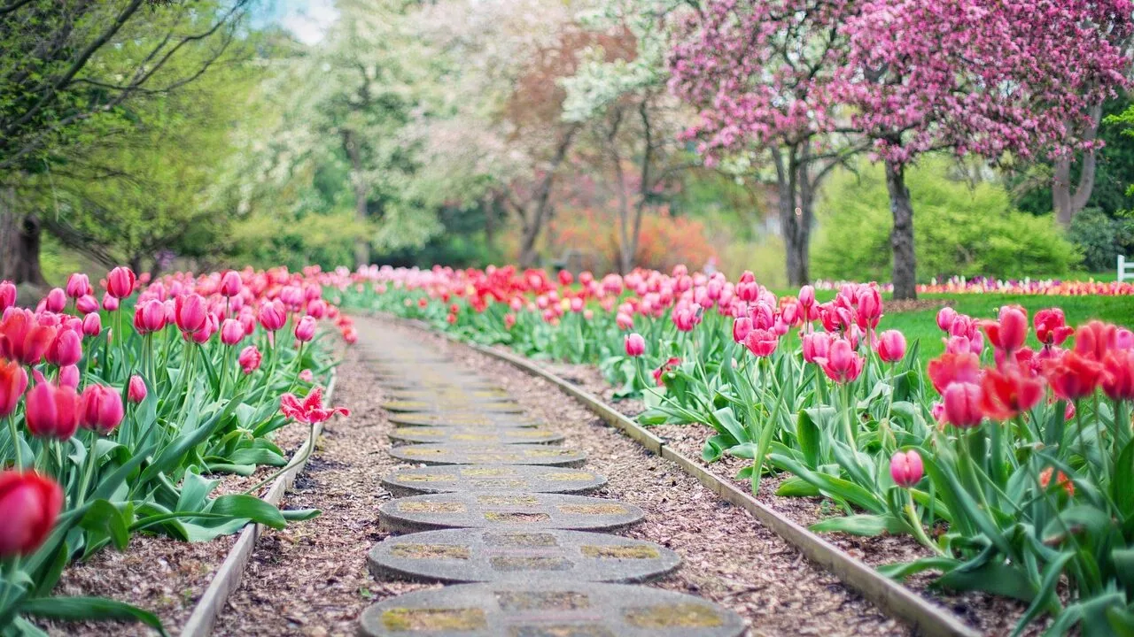 Solar Path Lights Worth Buying for Every Yard and Budget