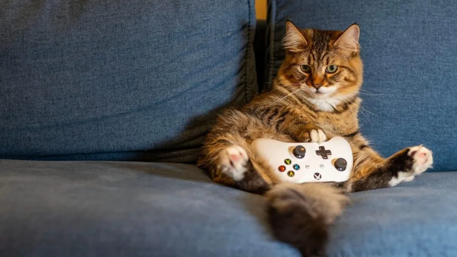 Someone holding a wireless gaming controller while charging it with a USB cable