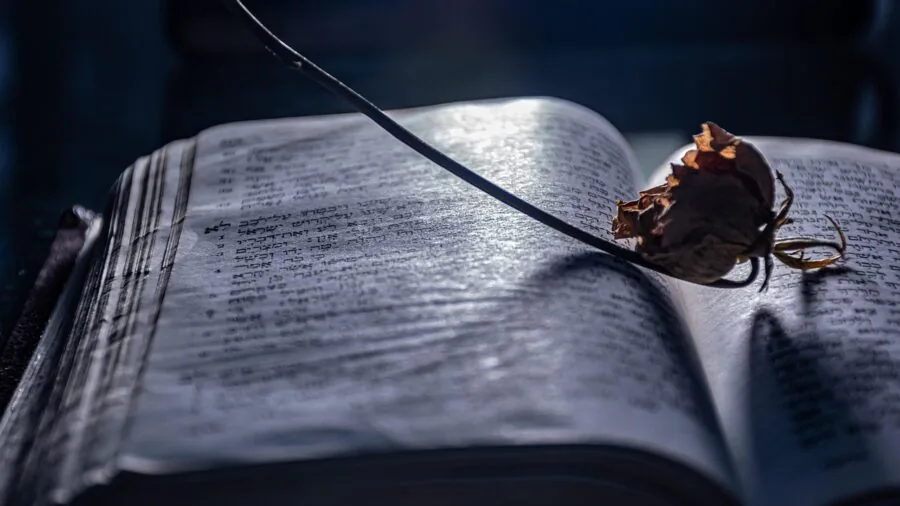 Someone reading an open book with a bookmark visible between pages in natural lighting