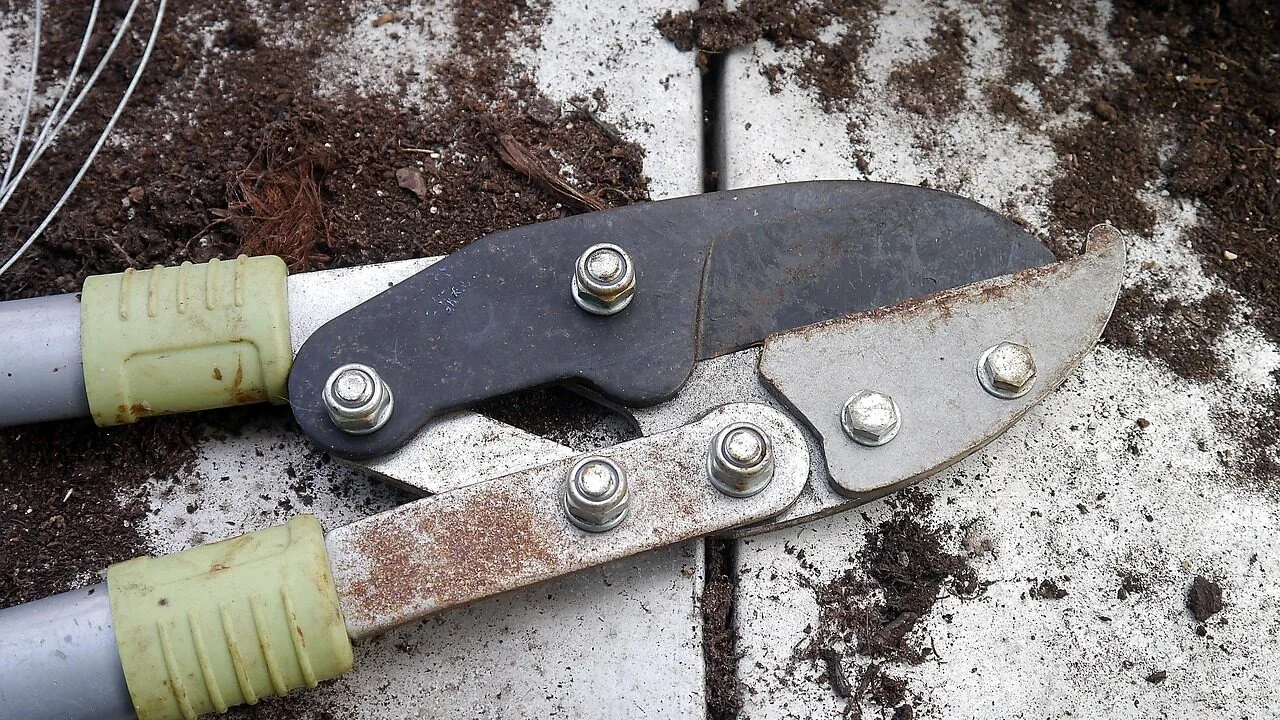The Best String Trimmers for Every Yard and Budget
