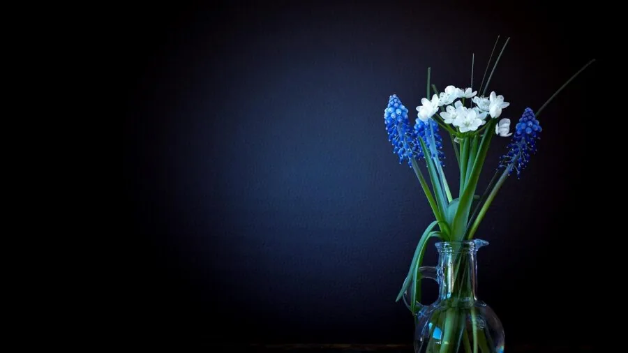 Sunlight streaming through a clear glass vase with fresh flowers in a minimalist interior space