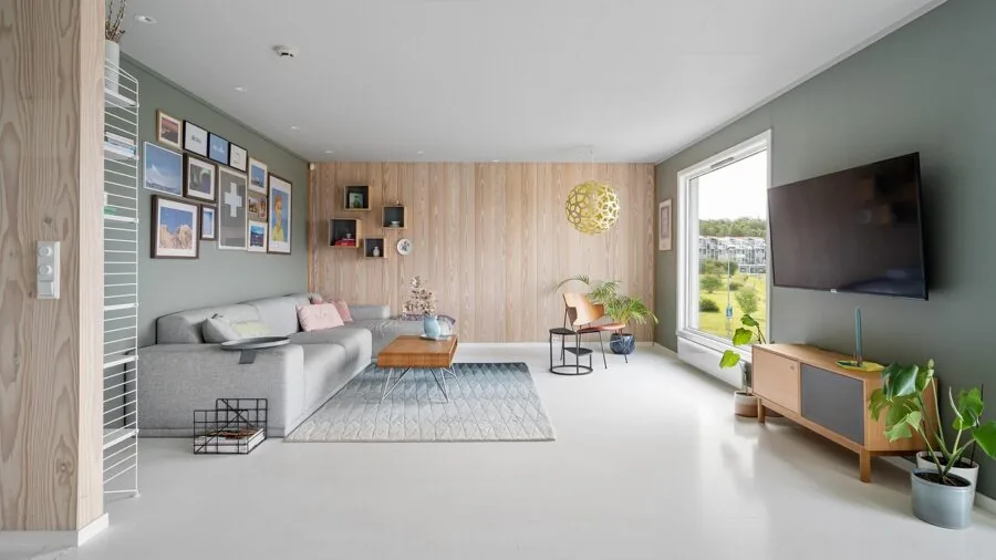 Sunlit living room with windows casting natural light across furniture during daytime