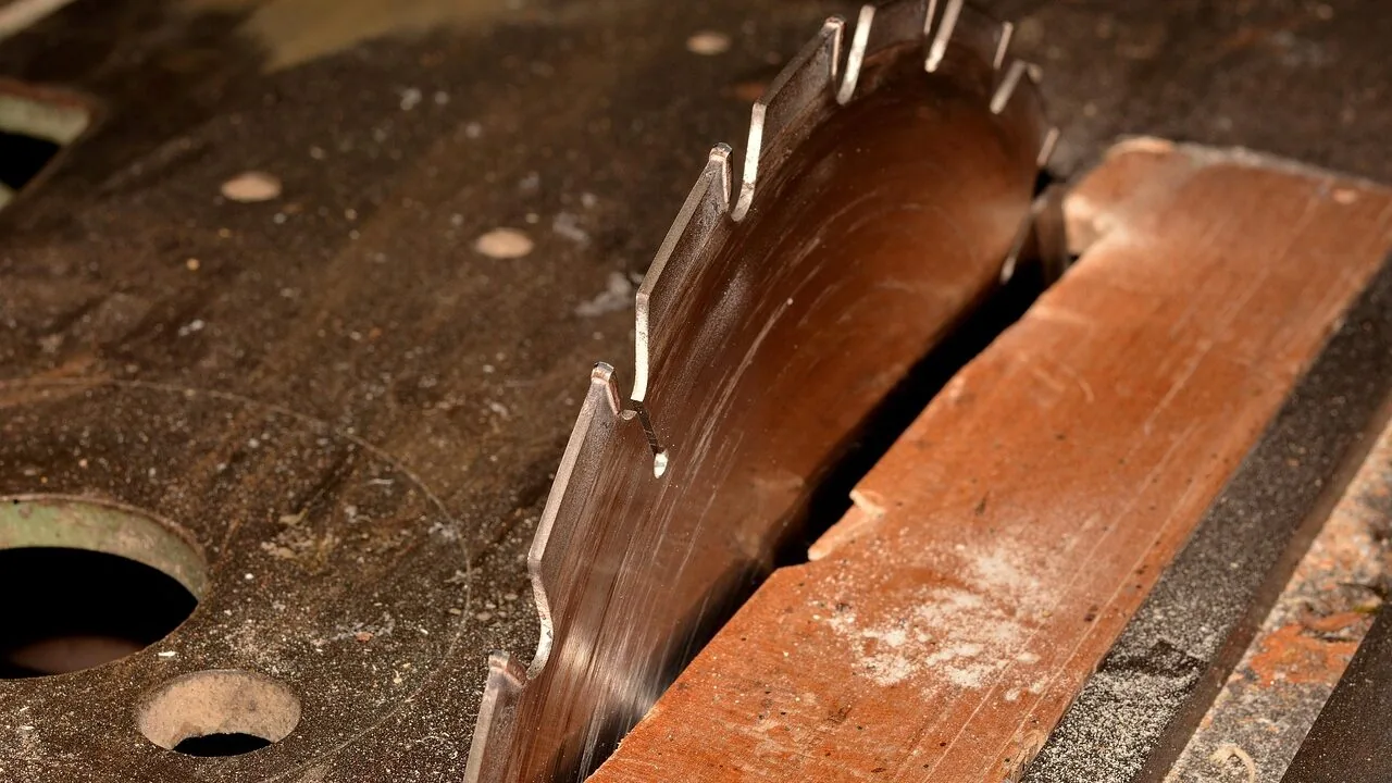 The Best Table Saws for Every Workshop and Budget