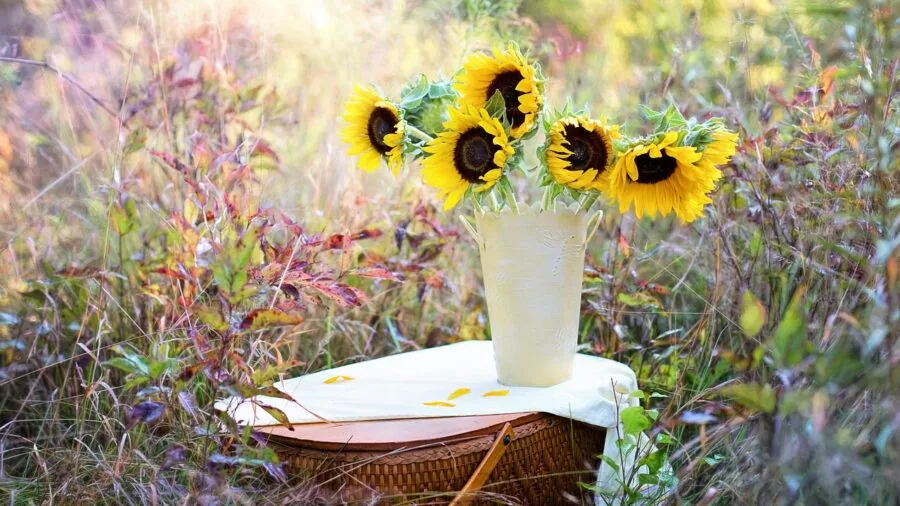 Tall sunflowers and roses arranged in a large vase on a console table in natural light