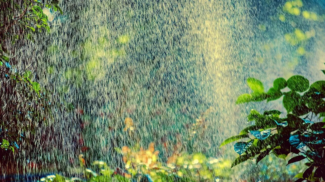 Terrarium Misting Systems Worth Buying for Every Keeper
