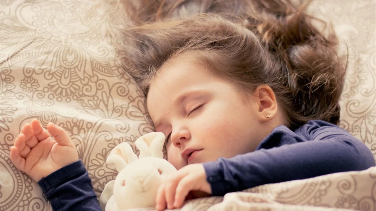Toddler Beds Worth Buying for Every Sleep Style