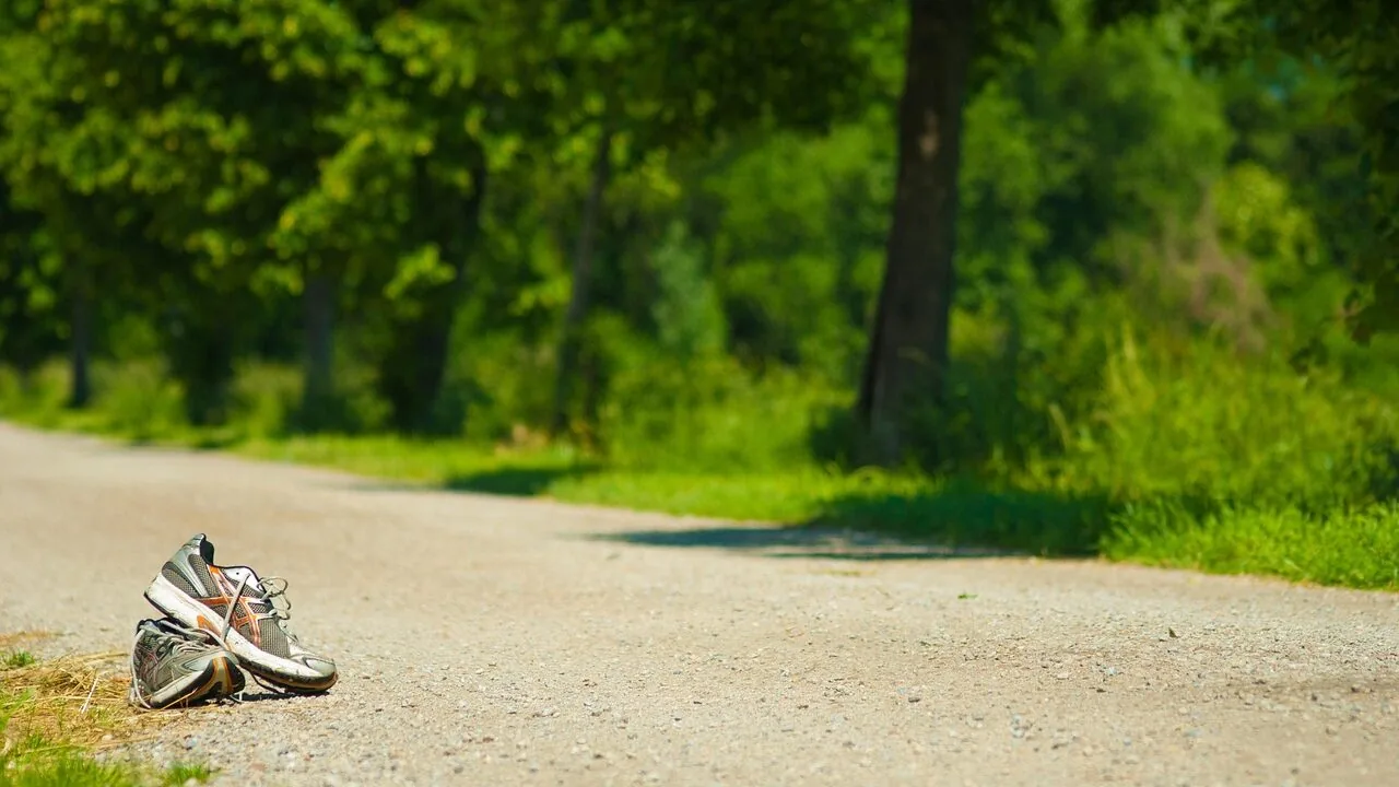 Trail running shoes displayed on outdoor terrain with natural lighting