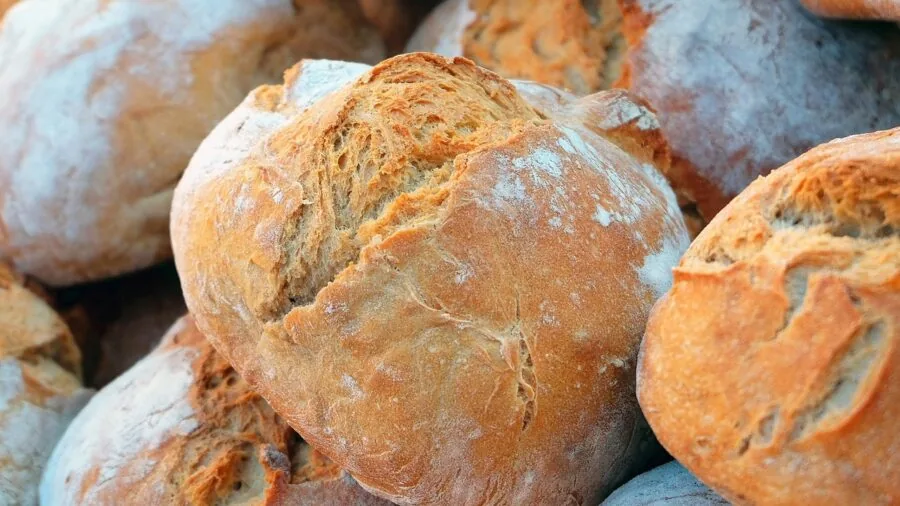 Various freshly baked bread loaves arranged on a wooden kitchen counter with natural lighting
