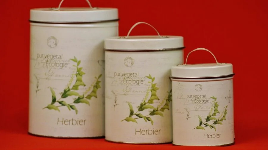 Various kitchen canisters in different materials displayed on a kitchen counter