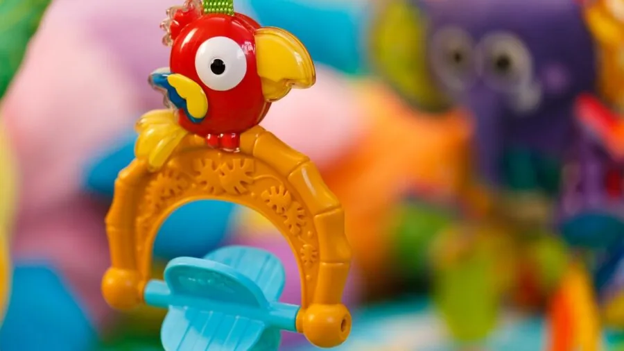 Vibrant parrot engaged with enrichment toys and textures, exploring interactive play accessories