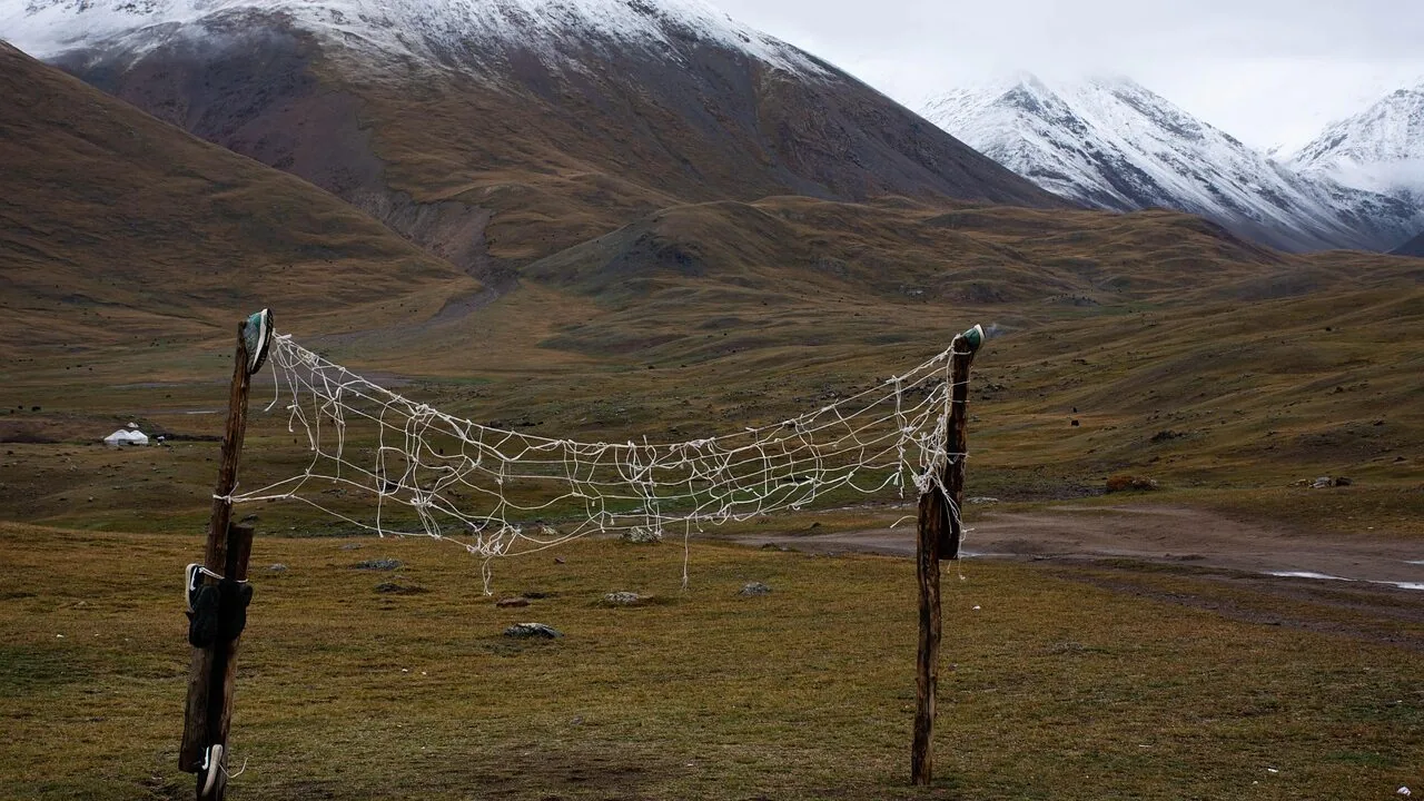 The Best Volleyball Nets for Every Backyard and Budget