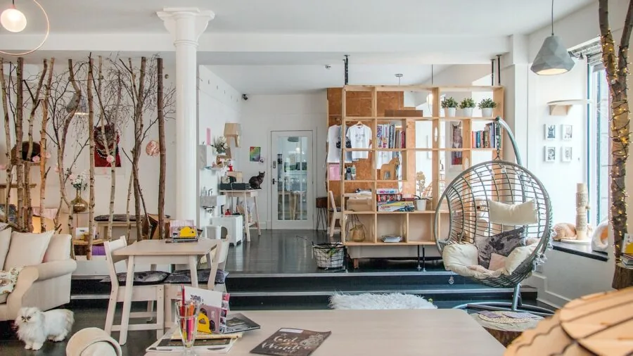 Warm, intimate interior space with soft lighting and enclosed cozy corner, illustrating comfortable small enclosed environment