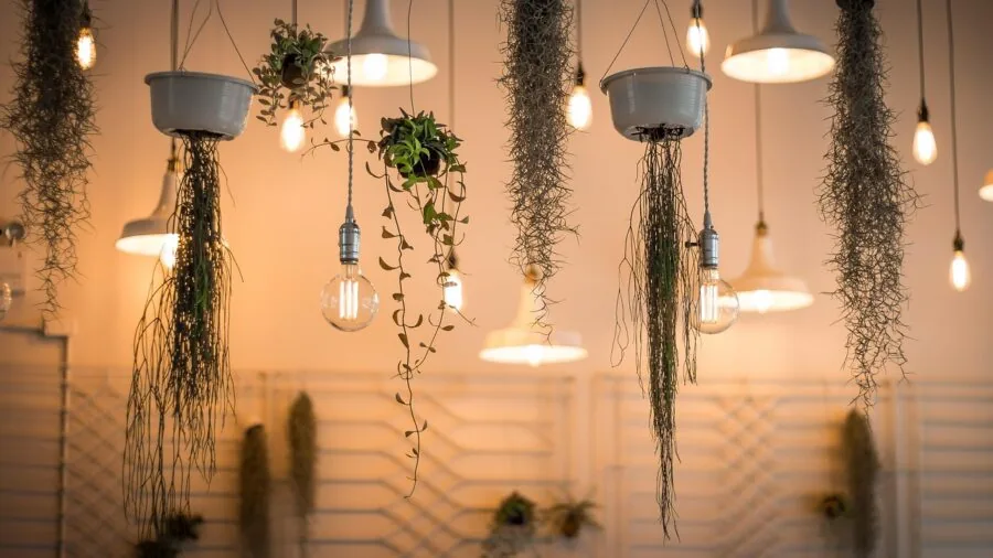 Warm LED lights illuminating a contemporary living room interior with quality home décor and comfortable furniture