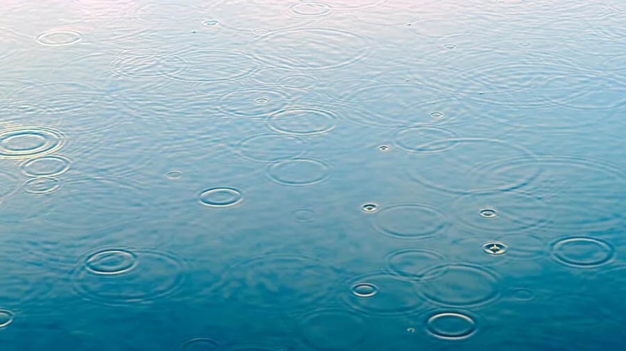 Water beading on leather surface showing protective conditioning and water resistance properties