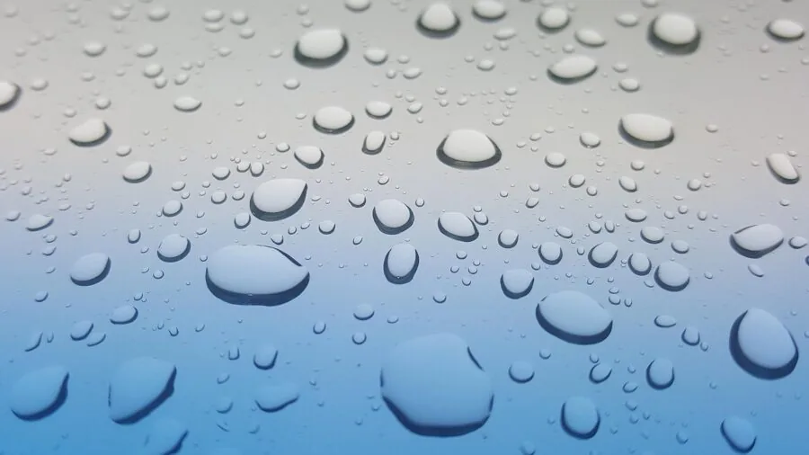 Water droplets beading on a hydrophobic coated surface, demonstrating repellent properties