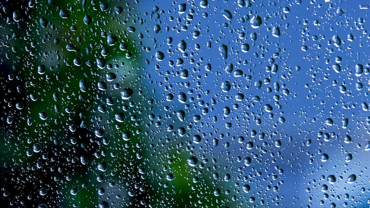 Water Purification Tablets Worth Buying for Every Trip