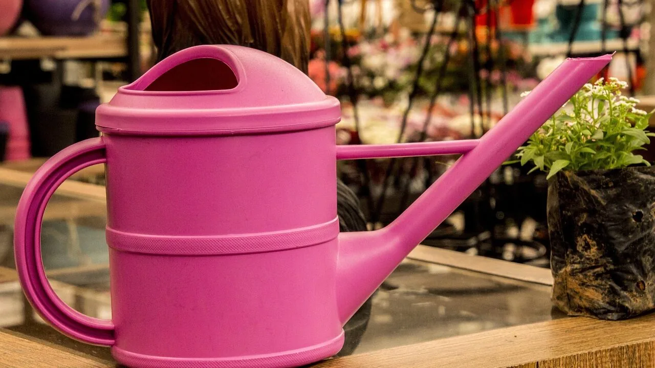 Watering Cans Worth Buying for Every Garden and Budget