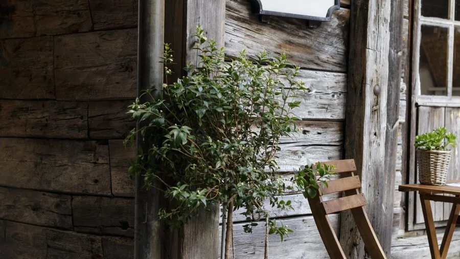 Weathered wooden chair on a sunny patio showing natural aging and wear over time