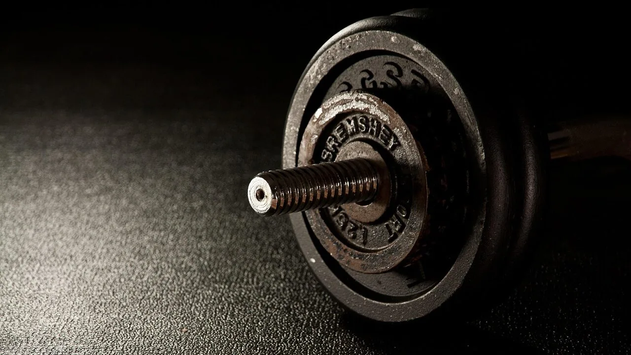Weight bench with dumbbells in home gym setting