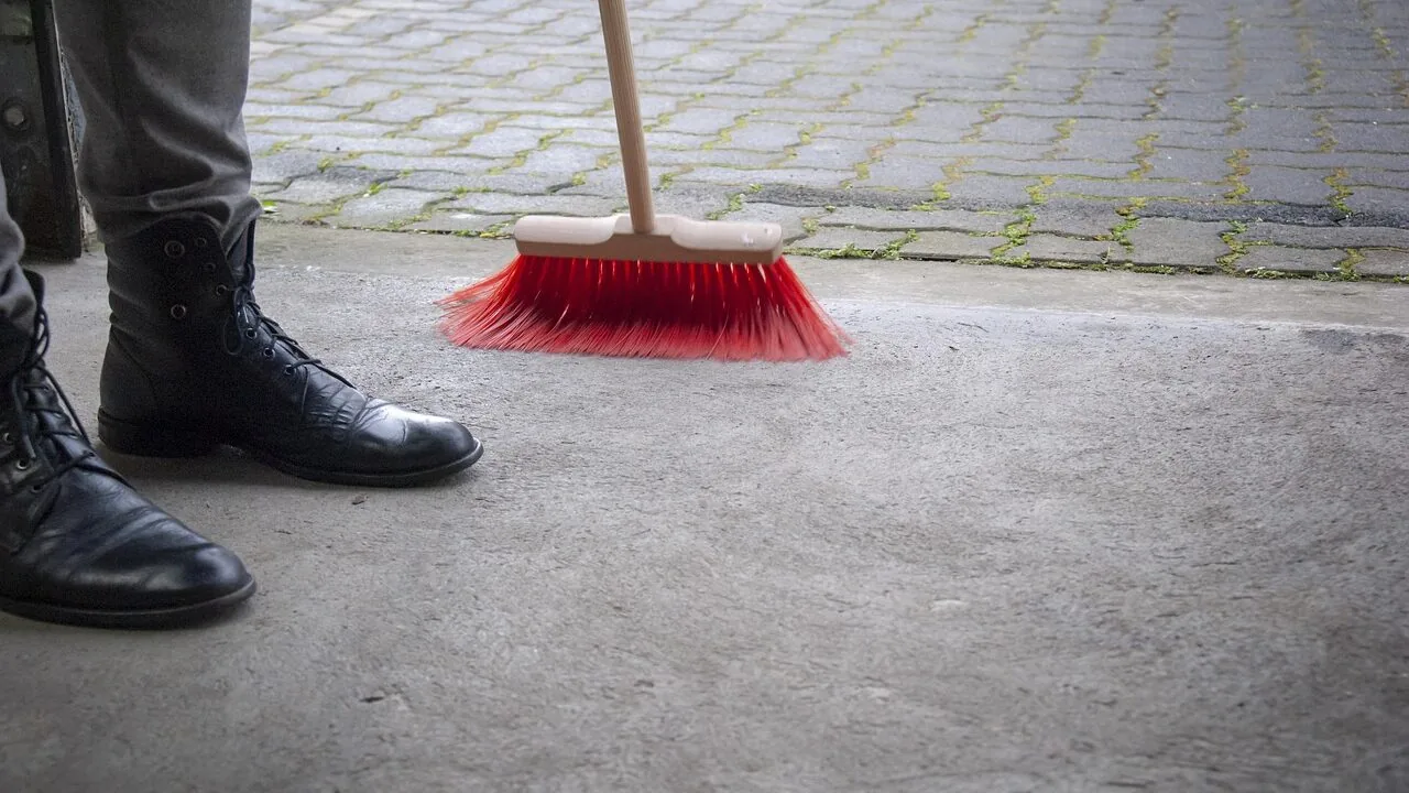 The Best Wet Dry Vacuums for Every Home and Workshop