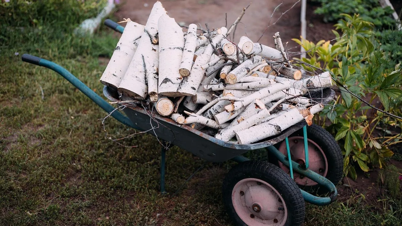 Wheelbarrow filled with soil in outdoor garden setting
