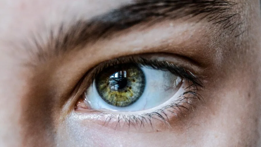Woman applying clear brow gel during morning beauty routine with natural lighting