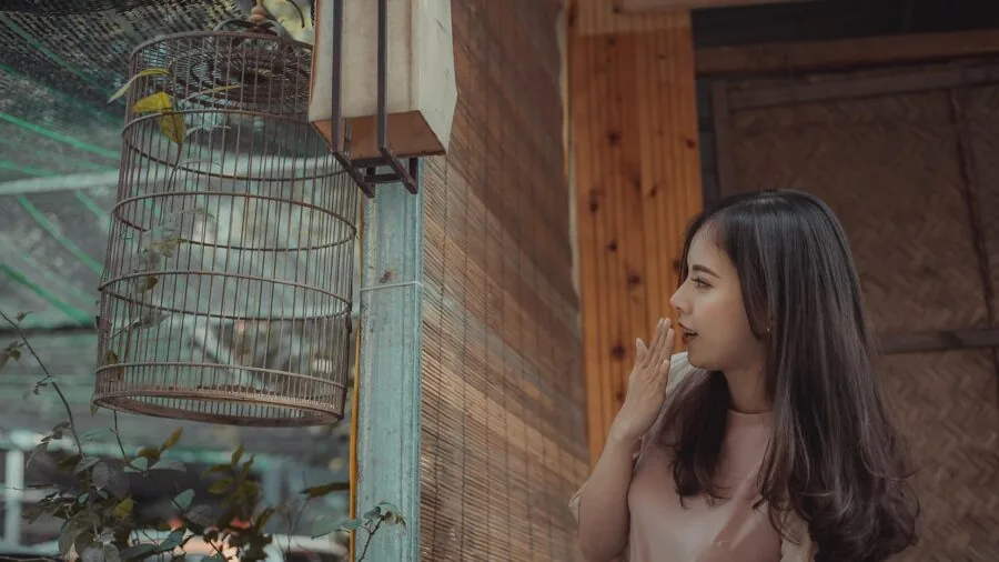 Woman carefully cleaning and maintaining a bird cage with proper liner coverage in home setting