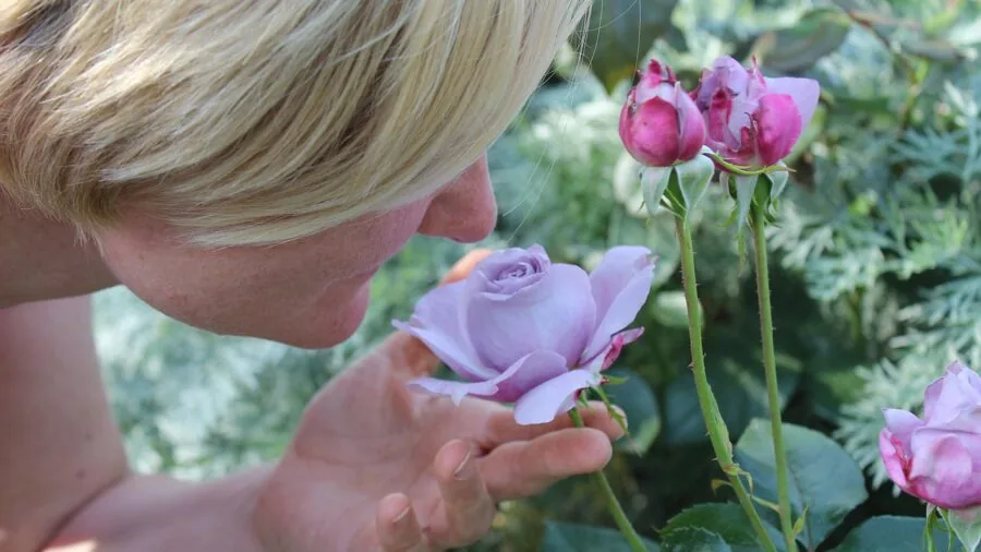 Woman smelling fragrance options to discover her preferred scent profile
