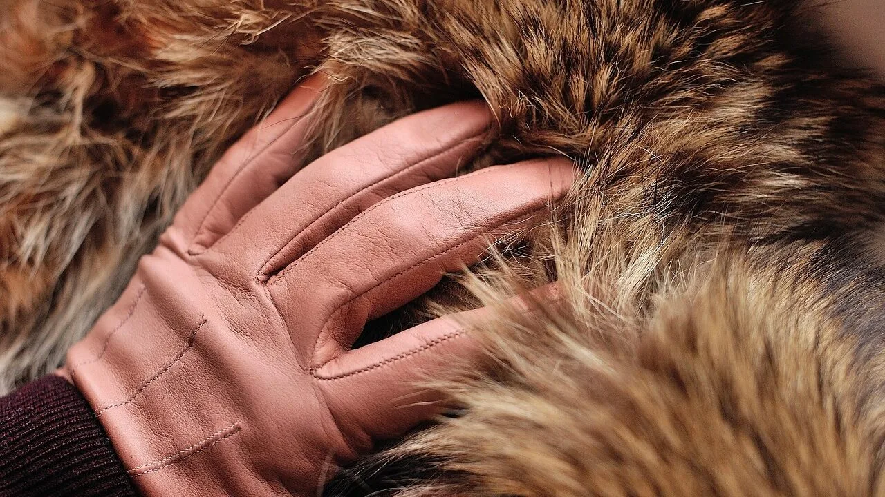 Women's Winter Coats Worth Buying for Every Climate