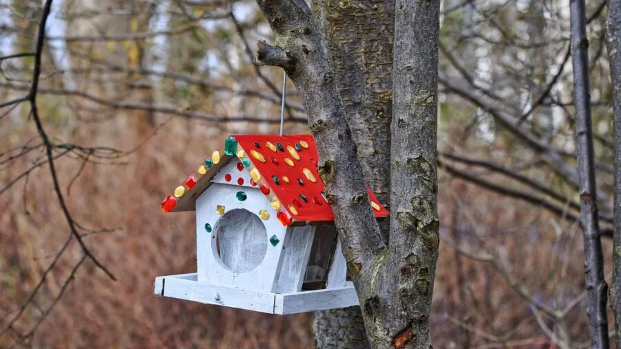 Wooden birdhouse mounted on a freestanding pole in a residential garden setting