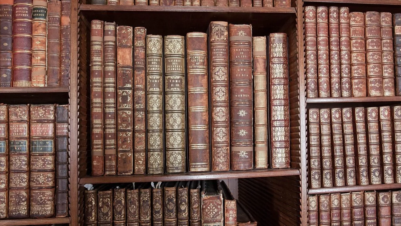 The Best Bookcases for Every Room and Budget