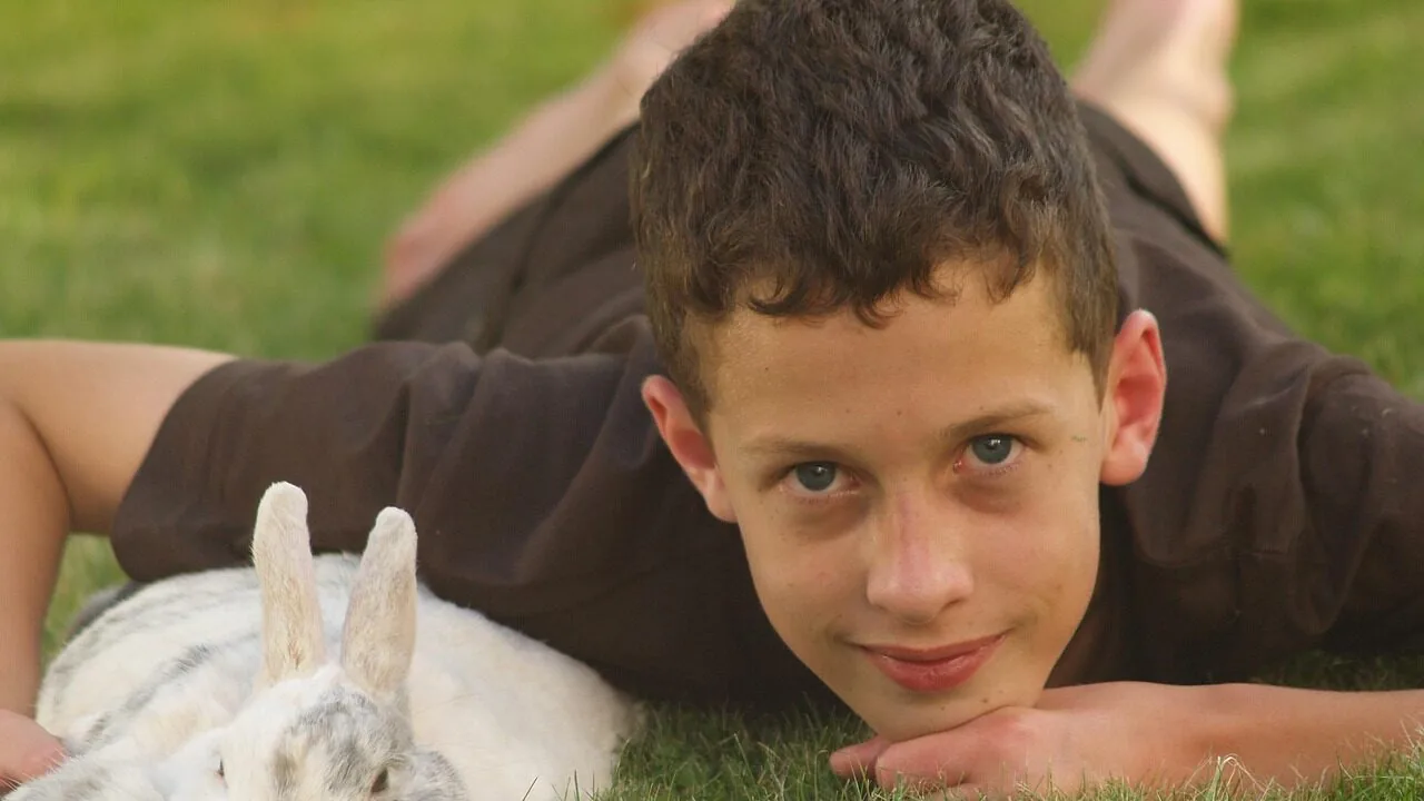 The Best Rabbit Hutches for Every Home and Yard
