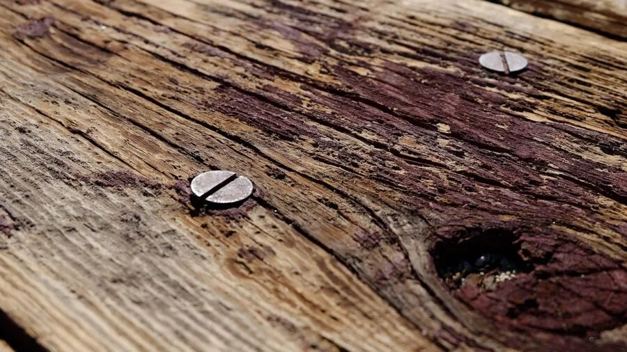 Woodworker carefully measuring and adjusting work table surface for precision woodworking