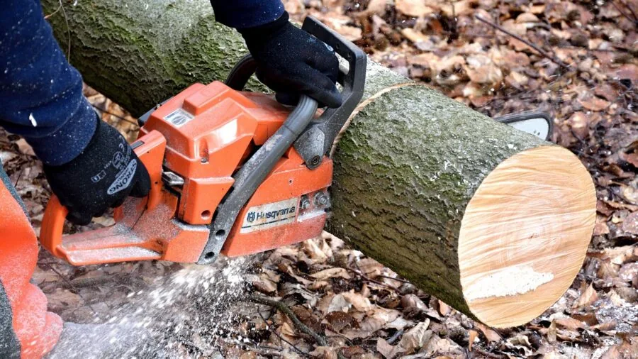 Woodworker using table saw to rip cut a large sheet of plywood in workshop