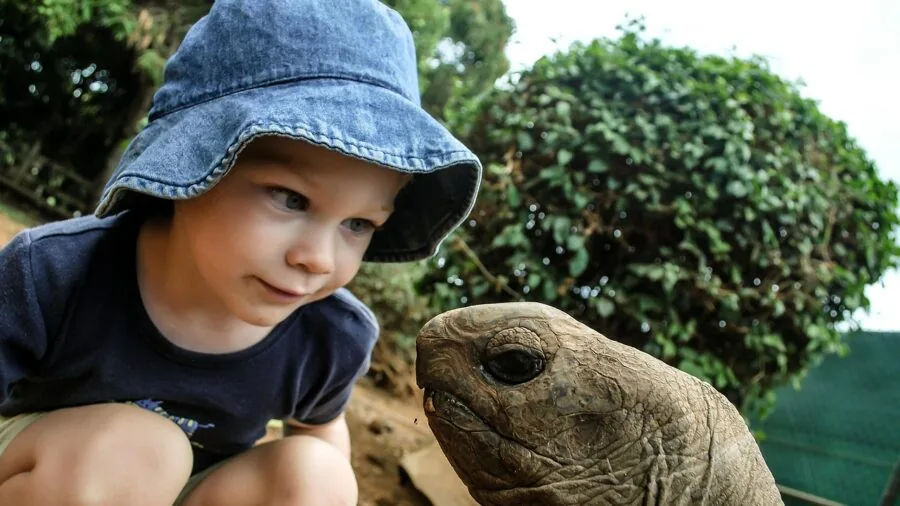 Young child discovering wildlife and animals in natural outdoor setting with curiosity and wonder