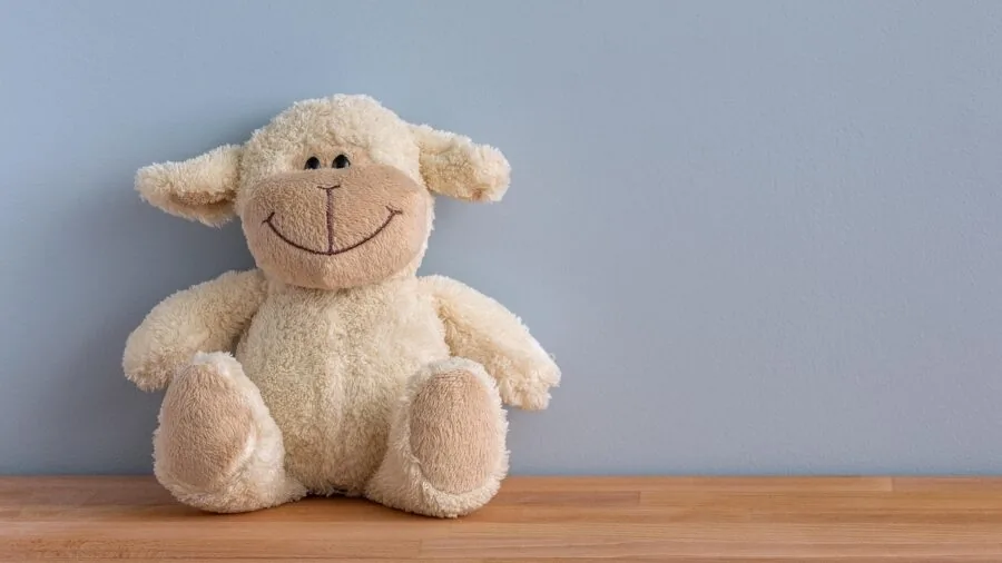Young child playing with soft toys on a carpeted floor during playtime